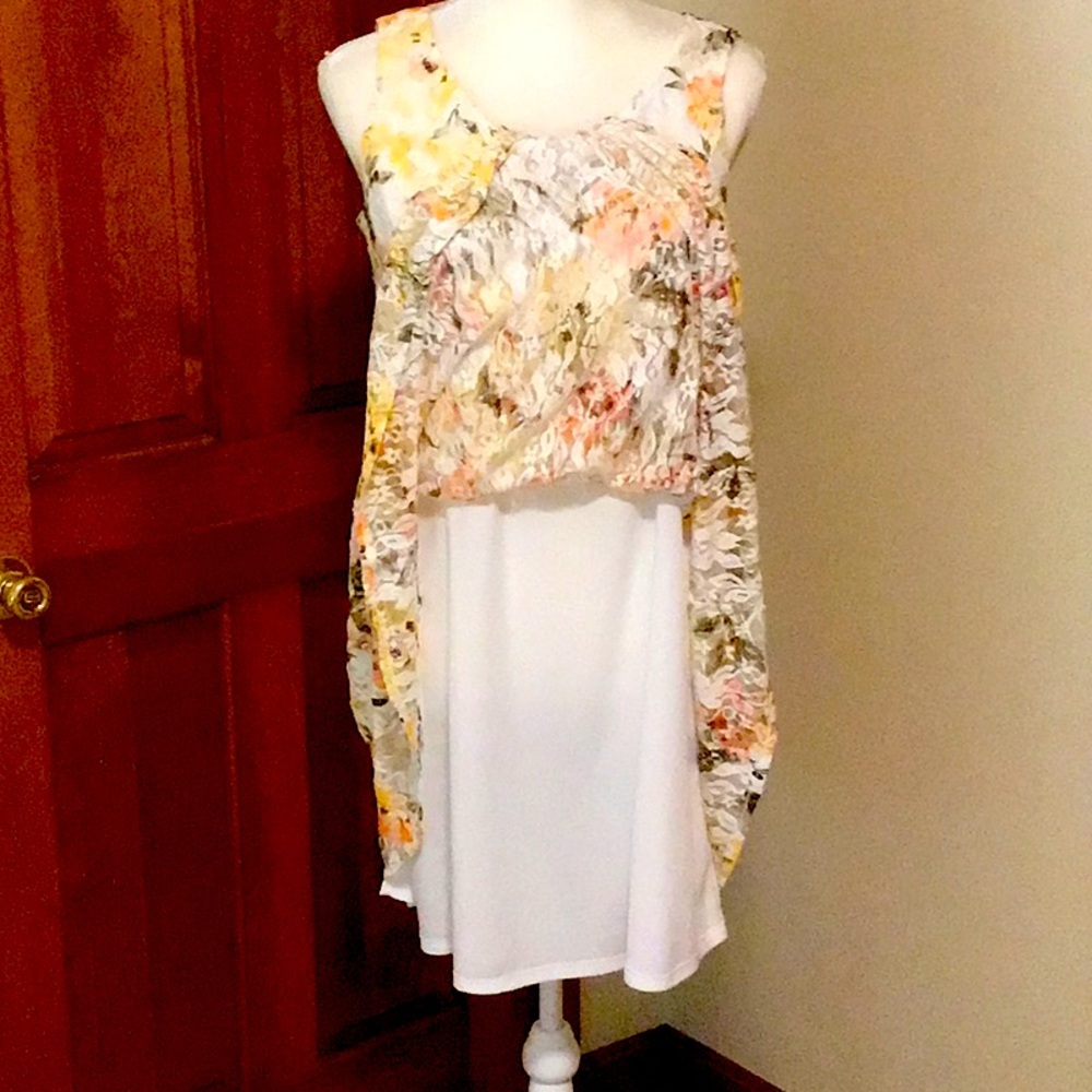 Perceptions Lace Overlay Dress - Picture 2 of 4
